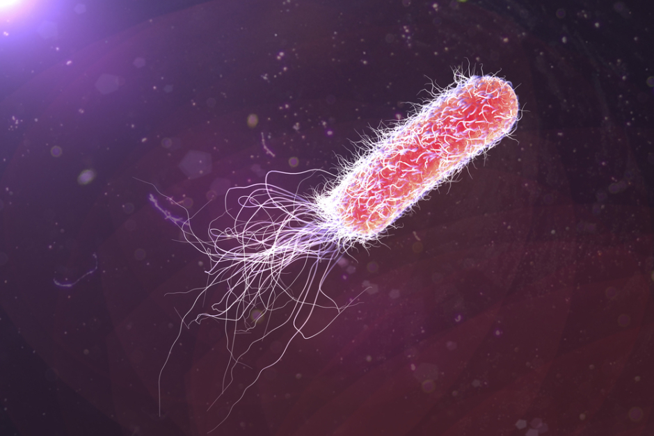 Pseudomonas Management